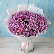 Букет цветов из:  Хризантемы #REPLACE_PRED# Новоникольское