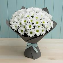 Букет цветов из:  Хризантемы #REPLACE_PRED# Новоникольское